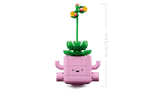 Rocking Plants
