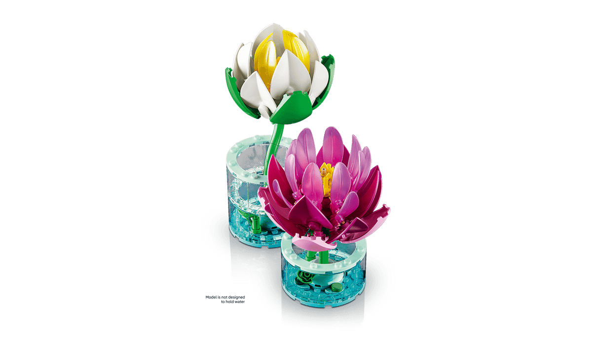 Water Lilies