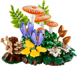Woodland Mushrooms