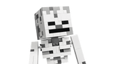 The Skeleton
