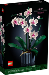 Orchid