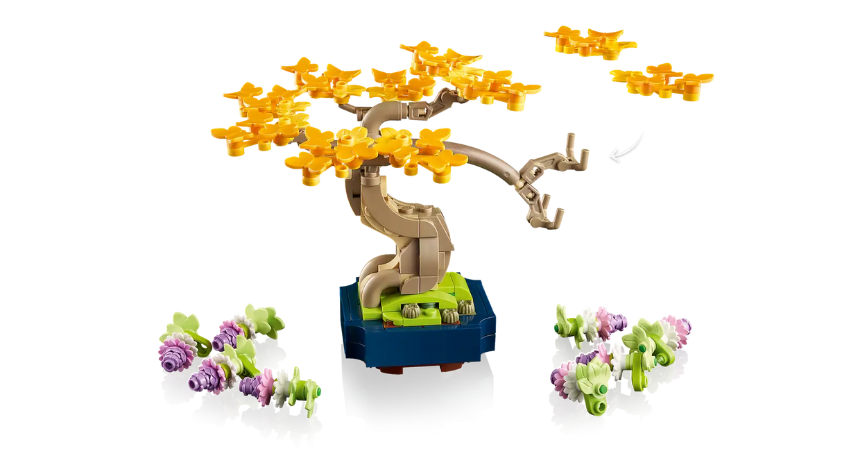 Mini Bonsai Trees