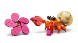 Pua
