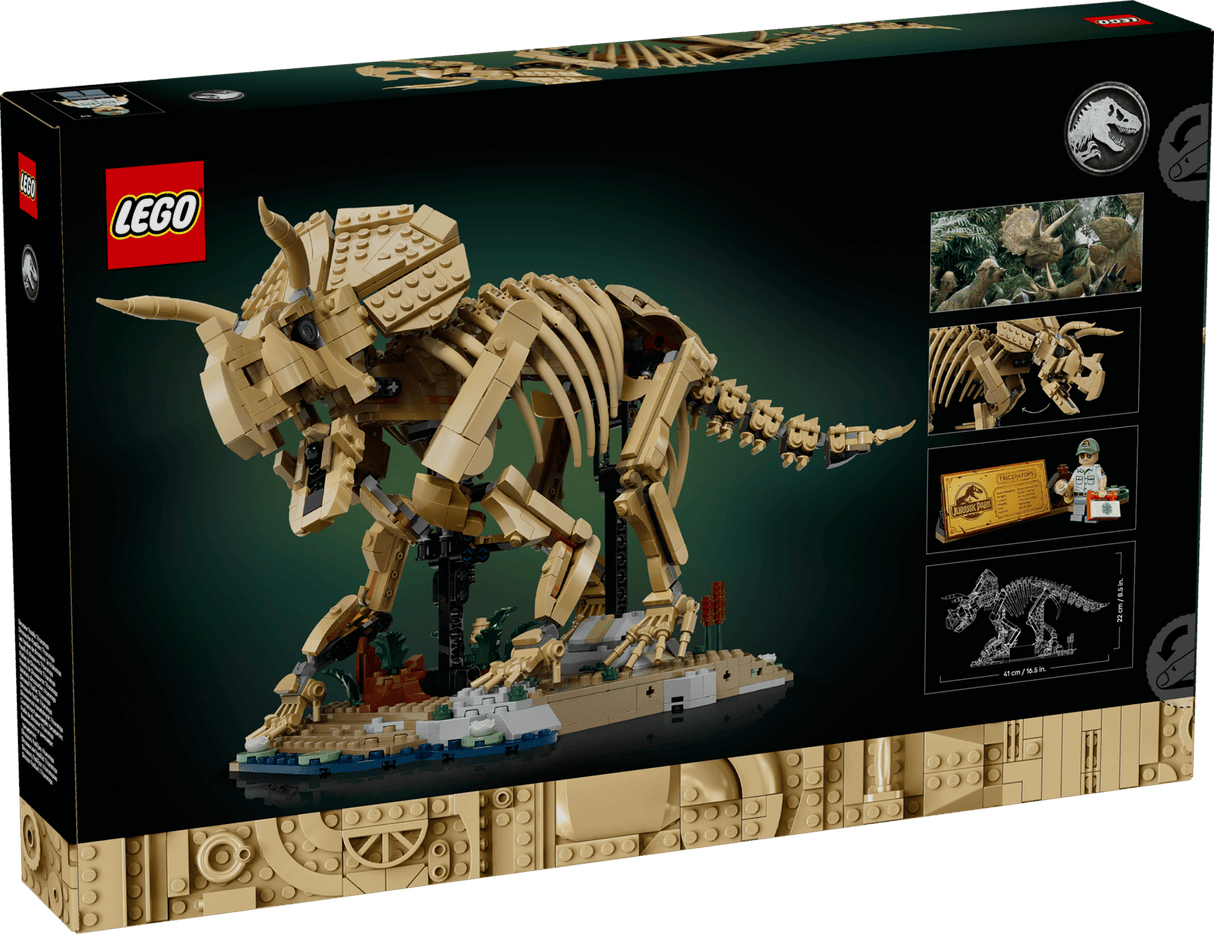 Dinosaur Fossils: Triceratops