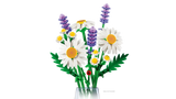 Daisies