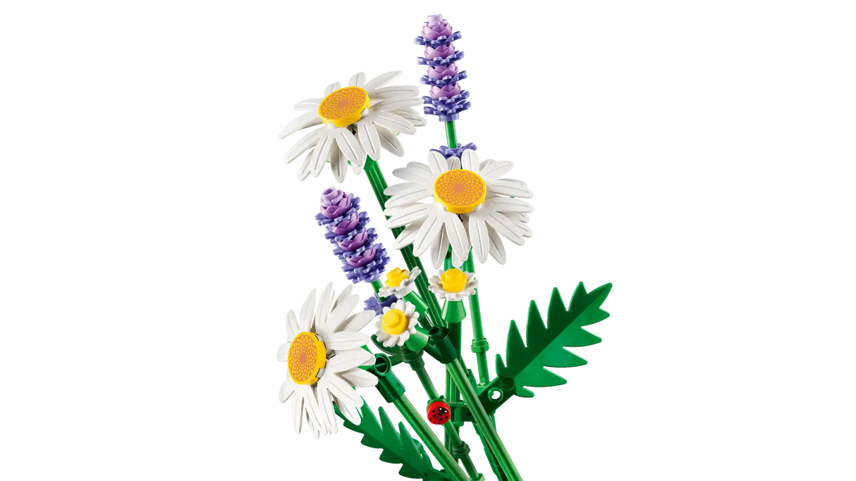 Daisies