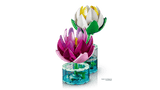 Water Lilies