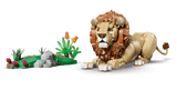 Wild Animals: Majestic Lion