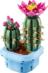 Flowering Cactus