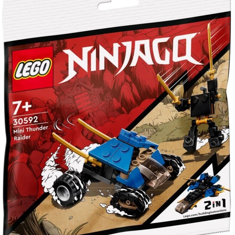 Mini Thunder Raider