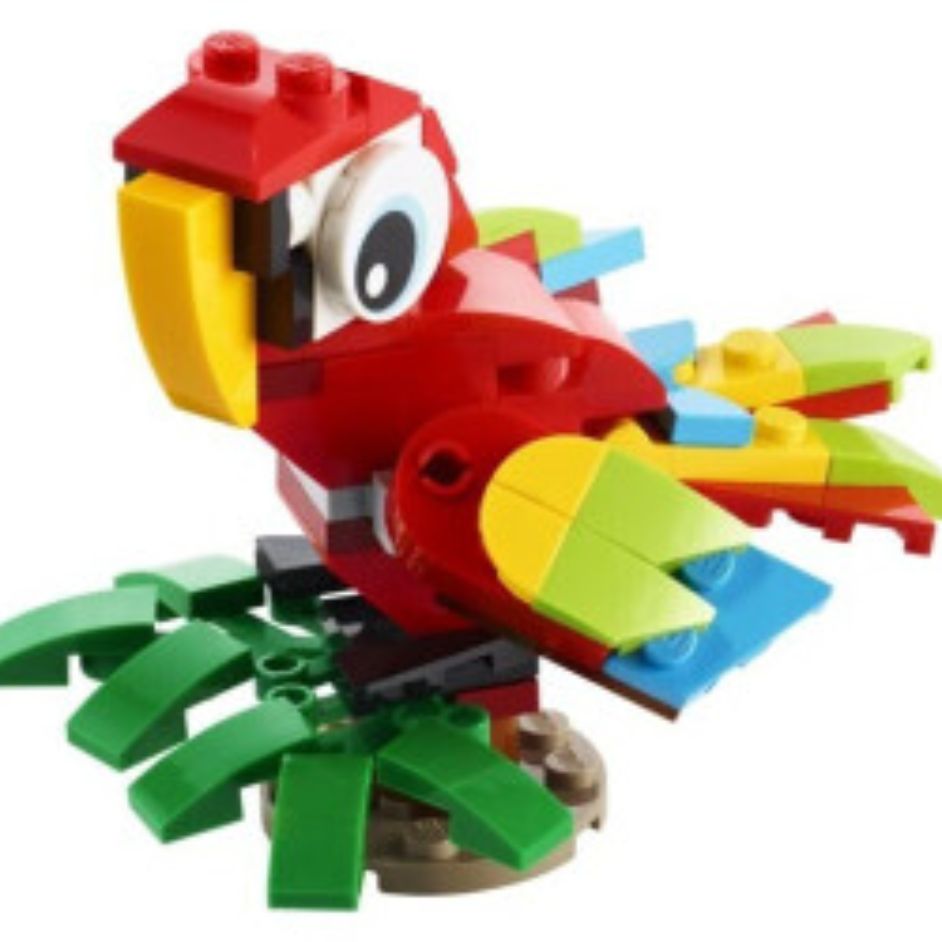 Creator tropical animal