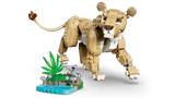 Wild Animals: Majestic Lion