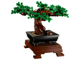 Bonsai Tree
