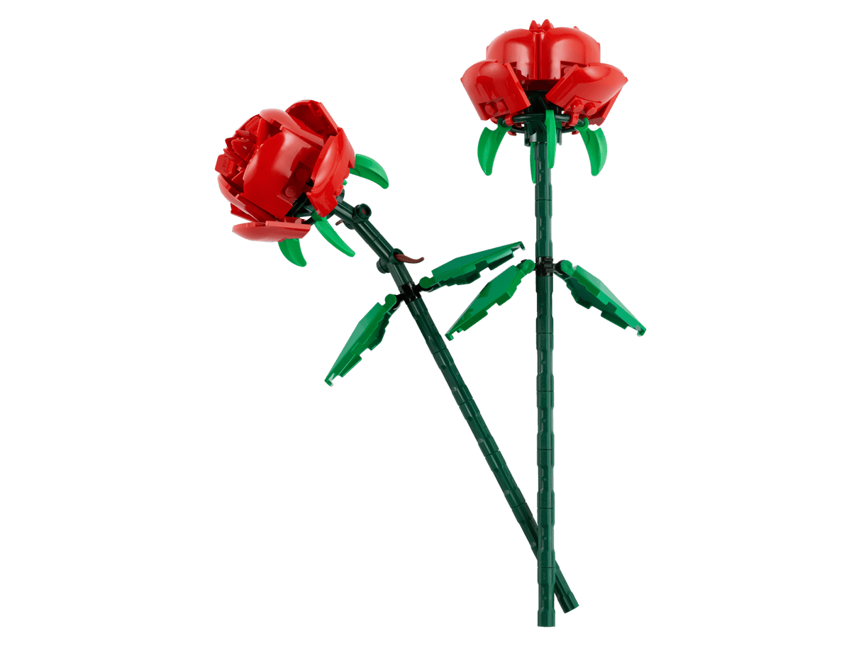 Roses