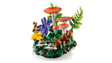 Woodland Mushrooms