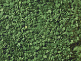 Grass Tufts Mini Set XL "Meadow"