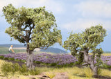 Fruit Tree