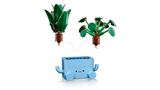 Happy Plants