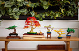 Mini Bonsai Trees