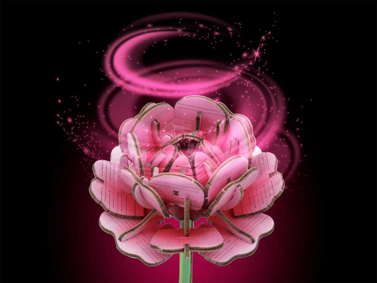 Flower Garden