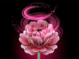 Flower Garden