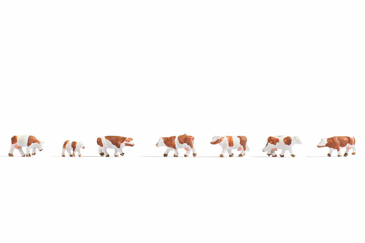 Racing Cyclists
