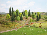 Fruit Trees