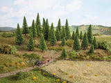Fruit Trees