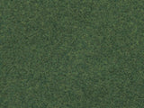 Wild Grass Foliage