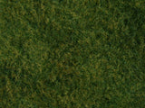 Wild Grass XL