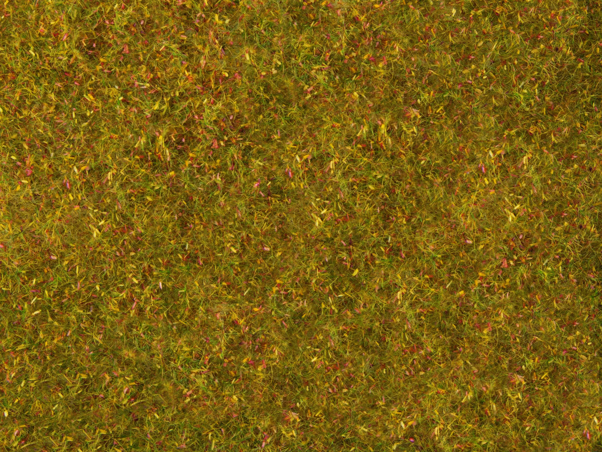 Wild Grass XL