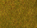 Wild Grass XL