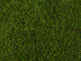Wild Grass "Meadow"