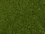 Wild Grass