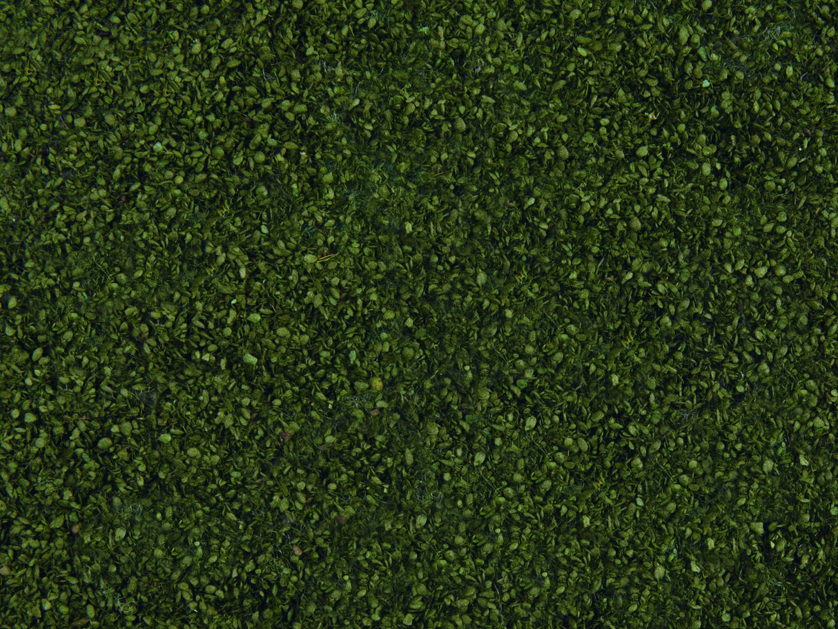 Wild Grass