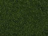 Wild Grass