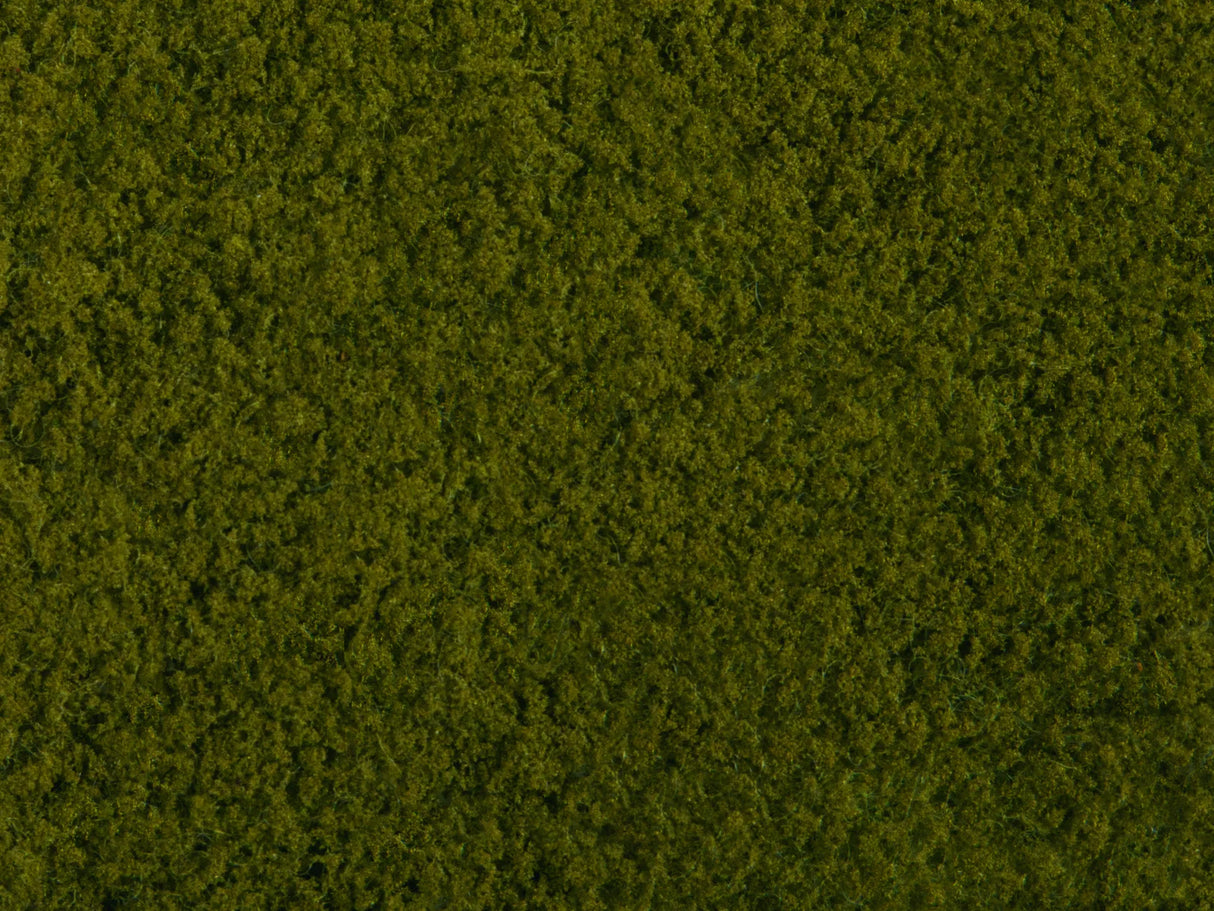Wild Grass