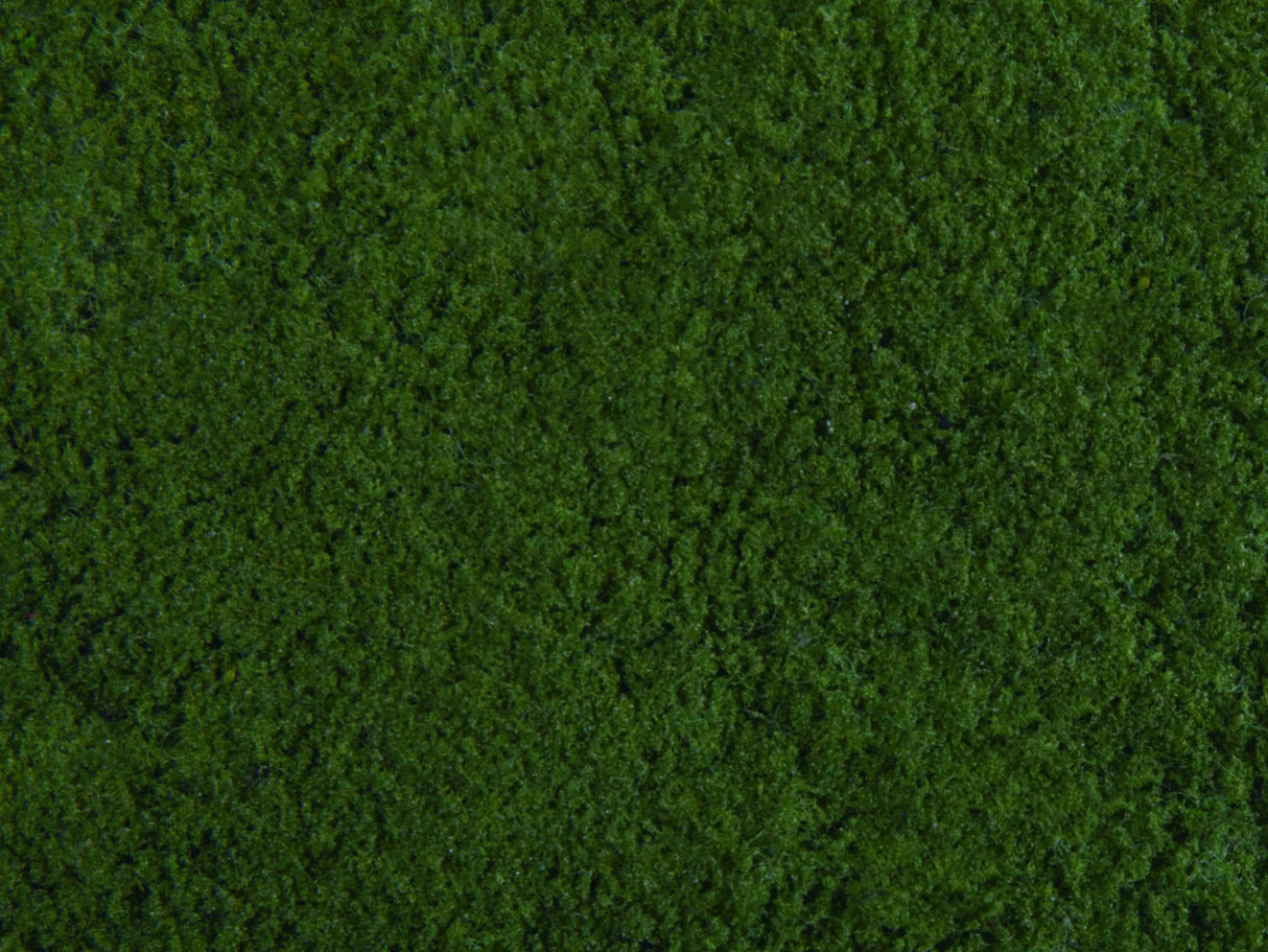 Wild Grass