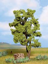 Oak Tree