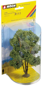 Oak Tree