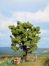 Bog Birch