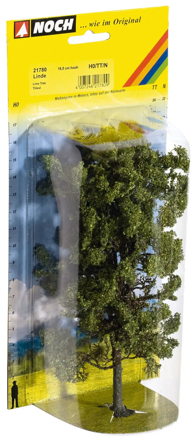 Pre-Flood Bridge