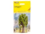 Pine Tree
