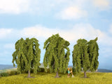 Cypress Trees