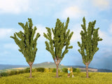 Blank Tree "Beech"