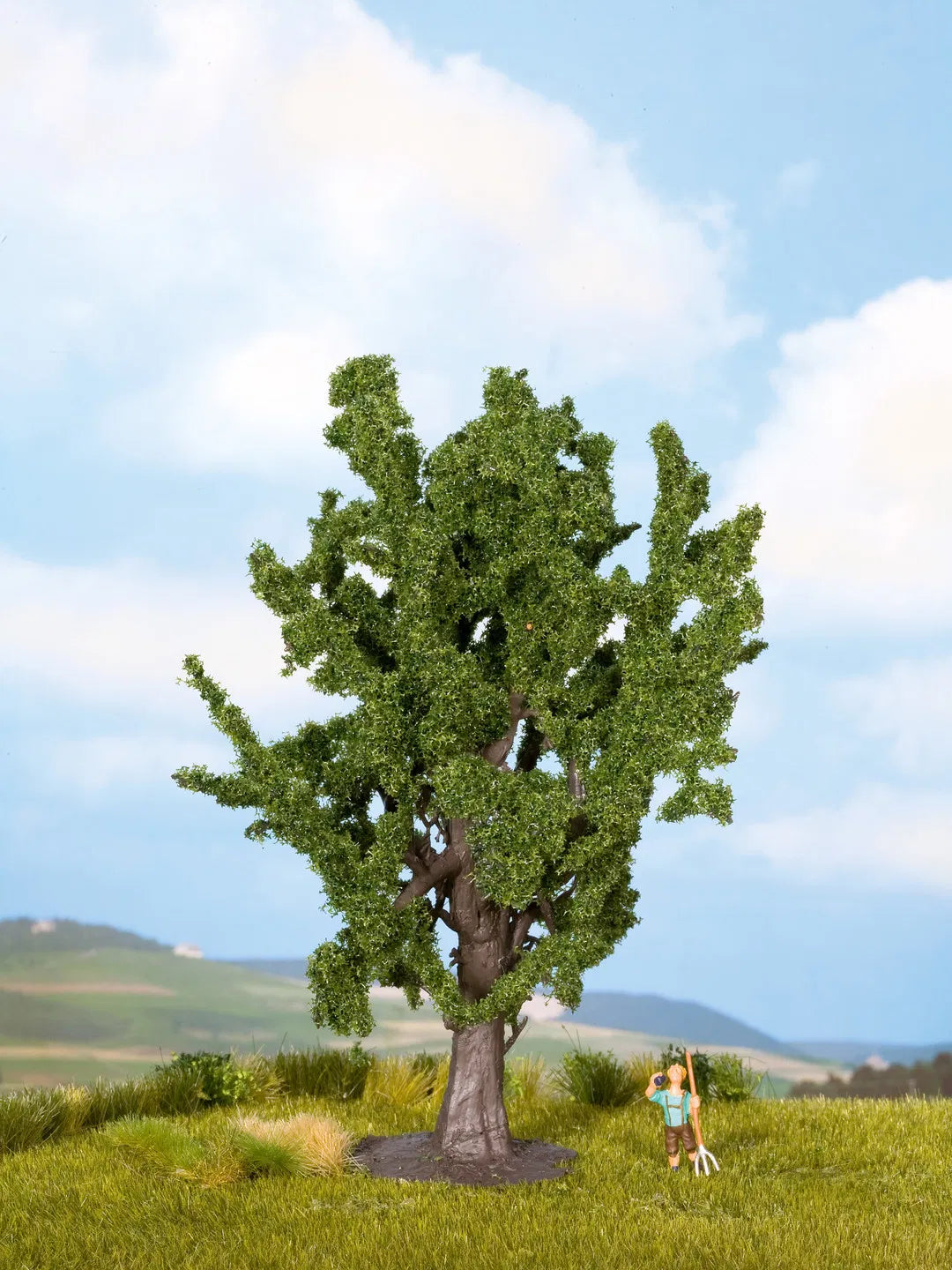 Deciduous Trees