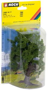 Deciduous Trees