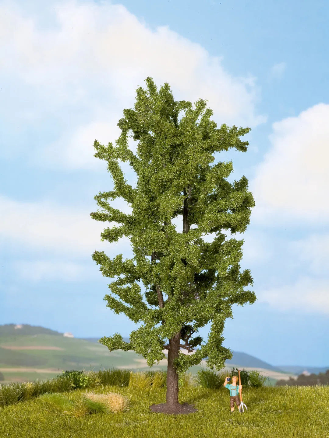 Deciduous Trees