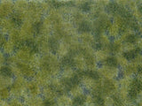 Wild Grass