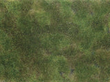 Wild Grass